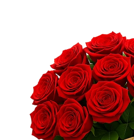 Розы